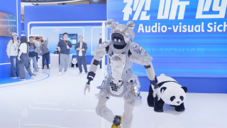 99久久精品国产高清一区二区